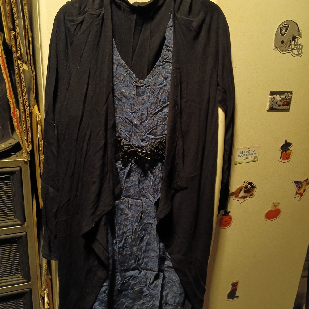 Elegant Blue and Black Women's Dress